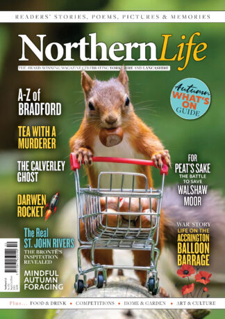 NL120-Cover