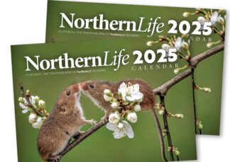 Northern-Life-2025-Calendar-x2